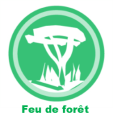 Feu de forêt
