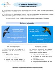 PRÉSERVATION DES HIRONDELLES